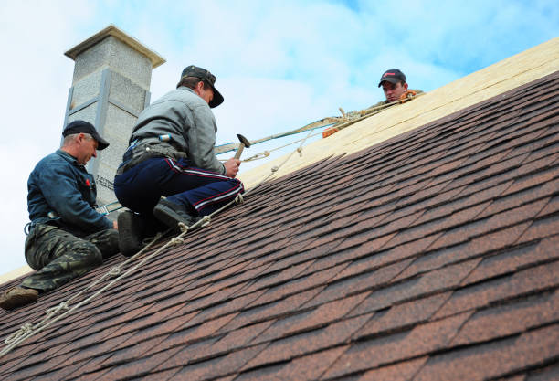 Gutter Installation and Roofing in Lake Stevens, WA